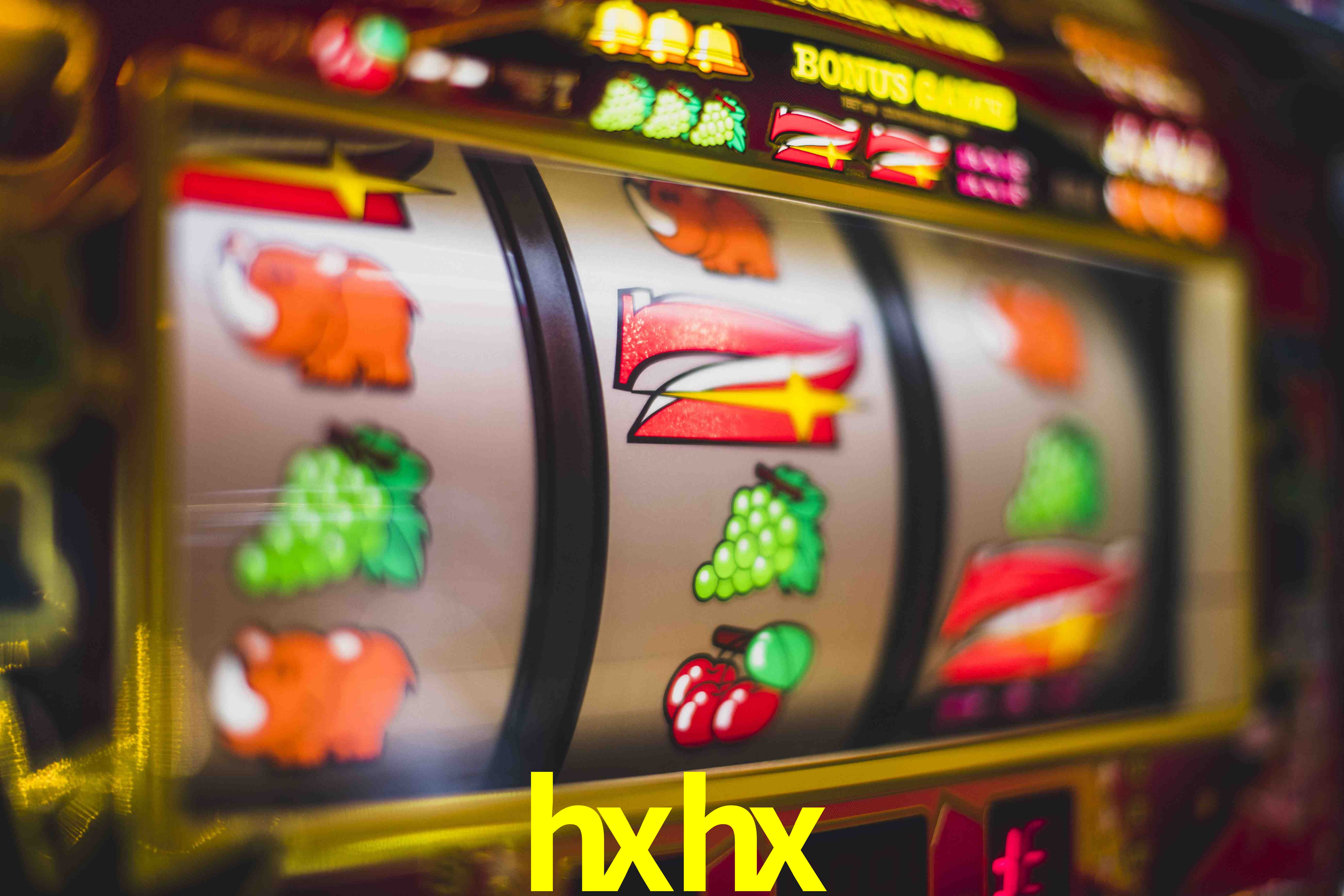Live Casino hxhx